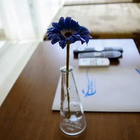 Апартамент South Pearl